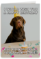 verjaardagskaart met hond met feesthoed