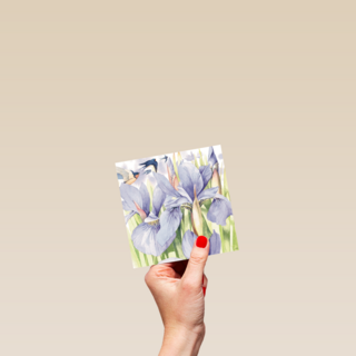 marjolein bastin blanco paars blauw bloemen