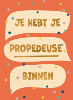 Je hebt je propedeuse binnen