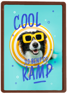 Op kamp hond bril