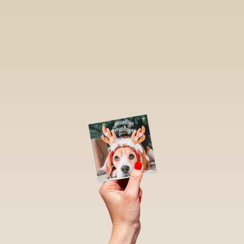 Kerstkaart klassiek hond met gewei