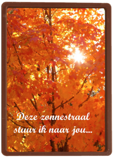 Boom in herfst