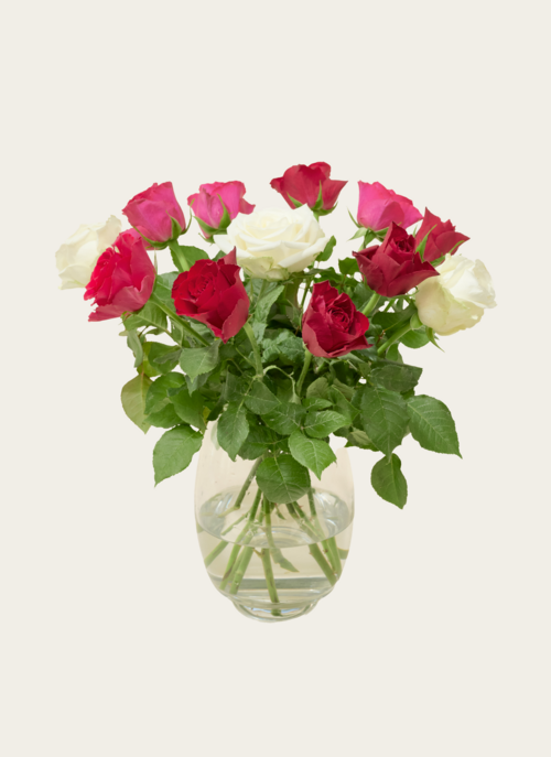 Brievenbusbloemen Roze Rood Mix Cadeau Bloemen En Planten |