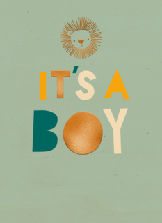 Leeuw it is a boy