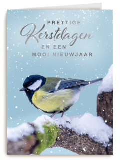 Kerstkaart vogel op tak winter