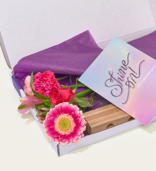 Brievenbuspakket Vaasjes Pink