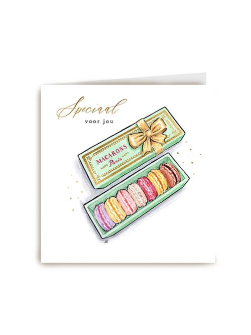 Anna Wijnands Speciaal Macarons