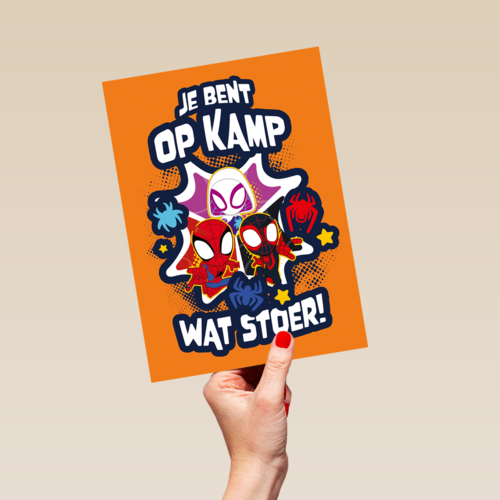 Stoer op kamp Spidey and friends