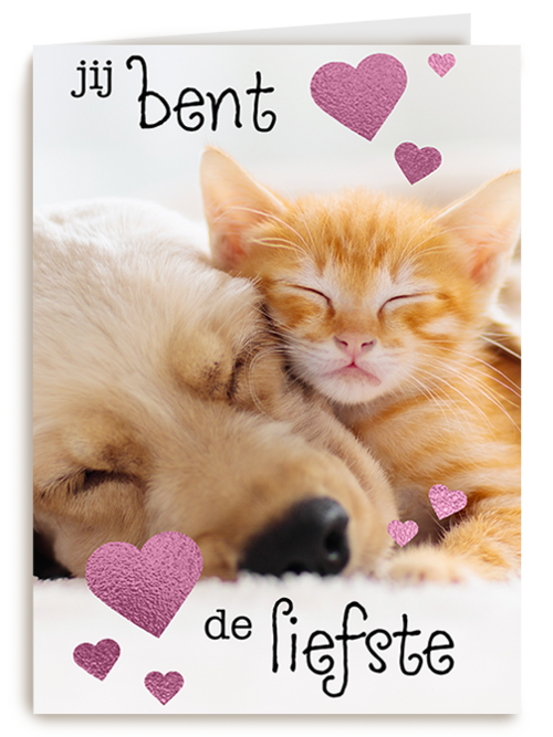 Kaart Hallmark | Valentijn | Valentijn Jij Bent De Liefste Hond Kat