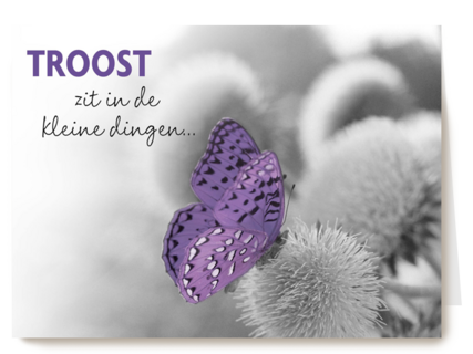 troost zit in kleine dingen 1