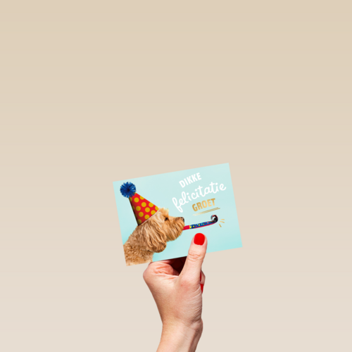hond met feesthoedje dikke felicitatiegroet kaart