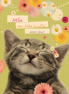 een snoezepoesje voor jou