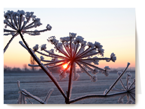 sneeuwlandschap met ondergaande zon
