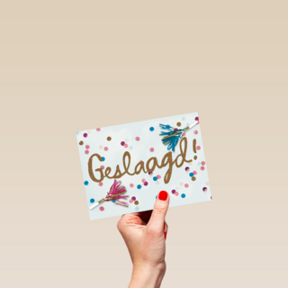 examen geslaagd geslaagd geslaagd