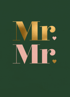 Love Story Mr Mr