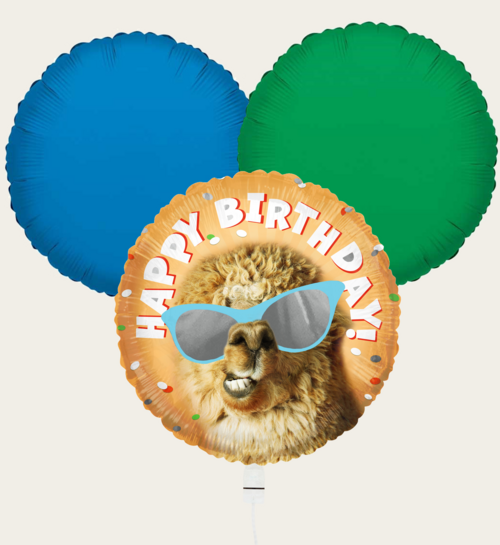 Ballonnentros  Happy Birthday Lama Oranje