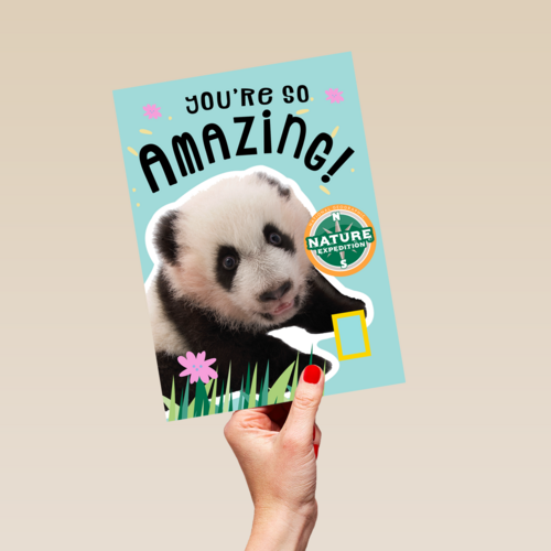 verjaardag kaart pandabeer
