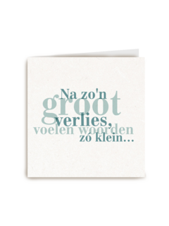 na zo groot verlies voelen woorden zo klein