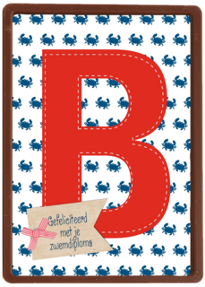 gefeliciteerd met je zwemdiploma B