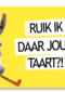 ruik ik daar jouw taart paard met feesthoed