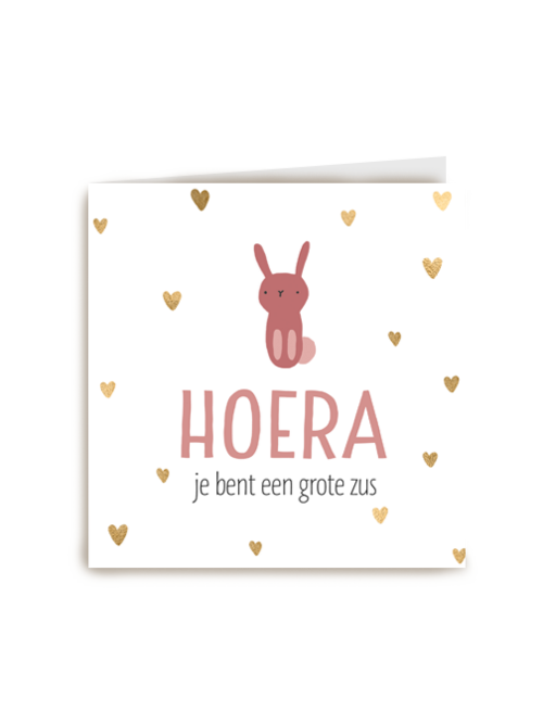 geboorte zusje konijn hoera je bent een grote zus
