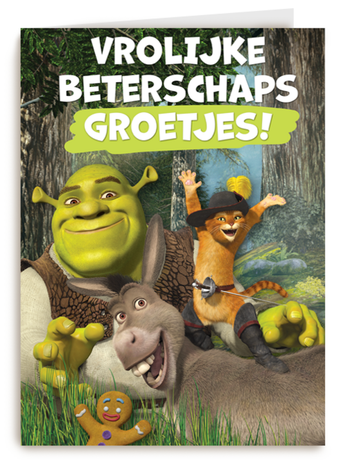 shrek beterschapsgroetjes