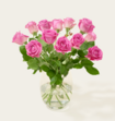 Brievenbusbloemen Roze Rozen
