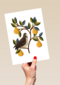 takken met vogel en fruit