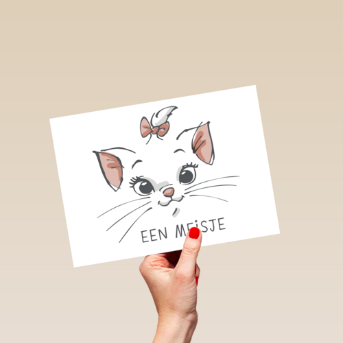 geboorte felicitatie Disney meisje
