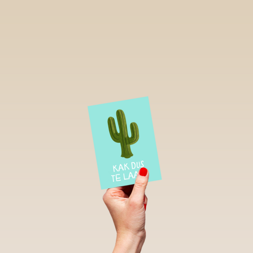 Verjaardagskaart te laat cactus