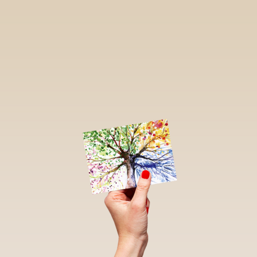 Chromazone Kleurrijke boom