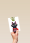 grumpy kat under the mistletoe