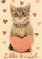 Liefde kaart kat met hart en dikke knuffel