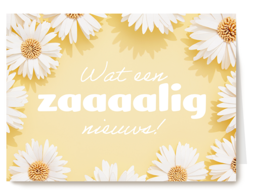 complimentkaart wat een zaaaalig nieuws