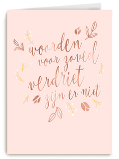 Voor zoveel verdriet zijn er geen woorden