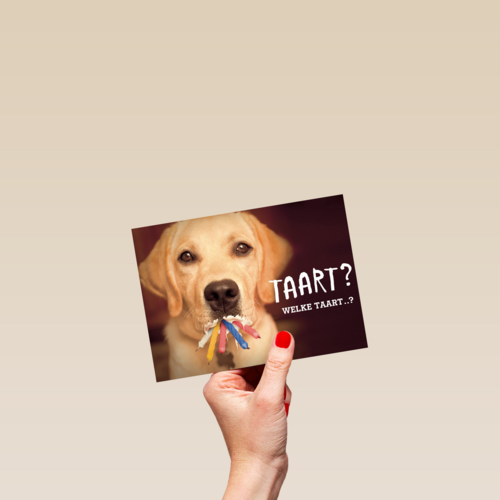 animal fiesta taart welke taart