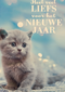 veel liefs voor het nieuwe jaar met deze kitten