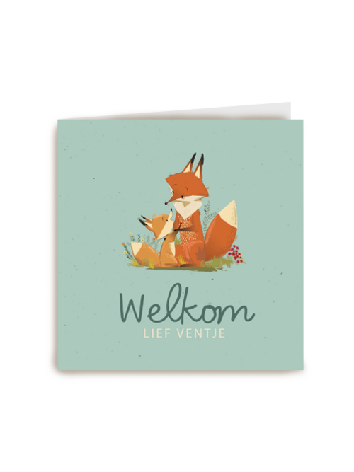 Geboorte felicitatie met vos Welkom lief ventje