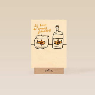 je hebt de sprong gemaakt