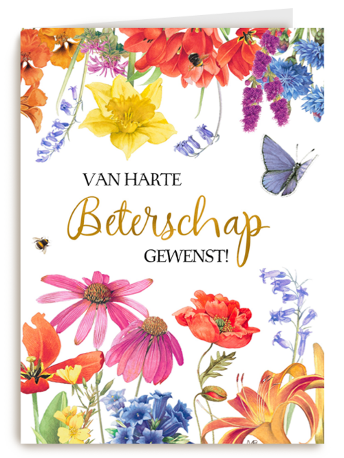 Kaart Hallmark | Beterschapskaarten | Beterschapskaart Van Harte Beterschap Gewenst