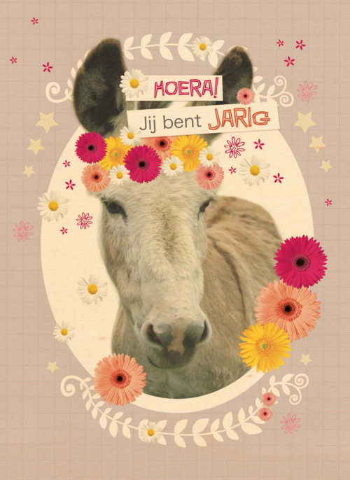 prodo dieren ezel jij bent jarig