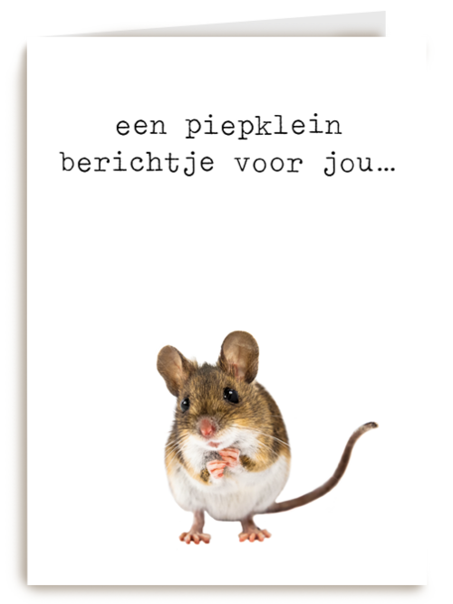 Zomaar kaart een piepklein berichtje Furry cuddles muis