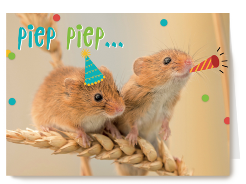 animal fiesta piep piep