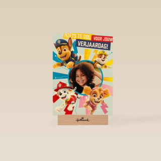 Paw Patrol kaart verjaardag fotokaart