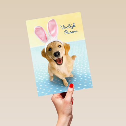 Pasen kaart hond met Paashaas oren