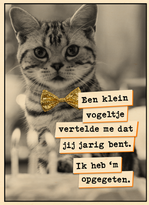 Vogel Poes  verjaardag