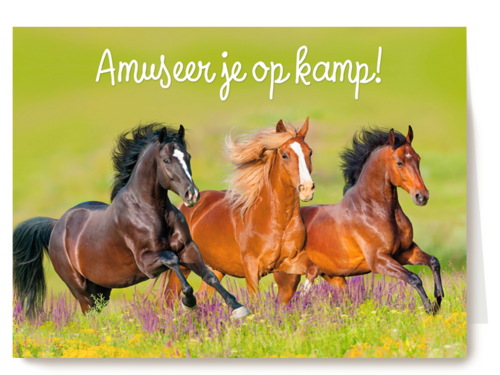 Kaart Hallmark | Op Kamp | Amuseer Je Op Kamp