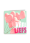 liefde kaart ballonnen veel liefs
