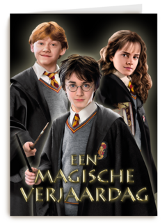 Harry Potter een magische verjaardag