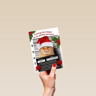 Prettige Kerstdagen Kat Met Kerstmuts
